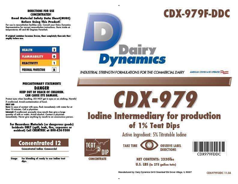 CDX-979